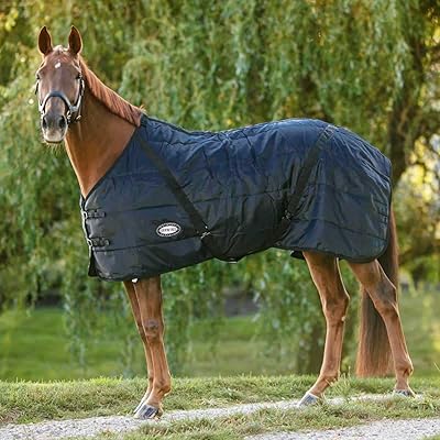 Country Pride Sentinel Channel Quilt Horse Stable Blanket, Midweight Open Front, 420D Nylon Outer Shell, 250g Poly-Fill Insulation, Wither Protection, Adjustable Leg Straps, Bias Surcingle 54,Black
