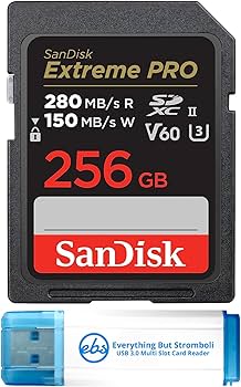 Amazon.com: SanDisk 256GB Extreme Pro UHS-II SD Memory Card Works