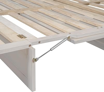 Queen Size Murphy Bed, Folding Wall Hideaway Chest with USB Port and A Large Drawer, Space Saving Cabinet Bed Frame with Wood Slats Supports, Easy Assembly (Brushed White, Queen)