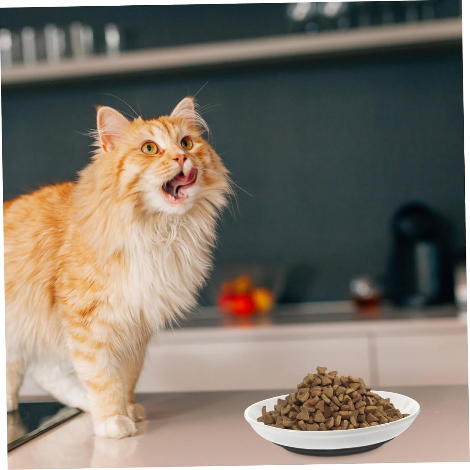 3pcs Shallow Wide Cat Food Bowls Non-Slip Ceramic Dishes with Silicone Bottom for Easy Feeding Durable and Stable Plates for Cats Food and Water