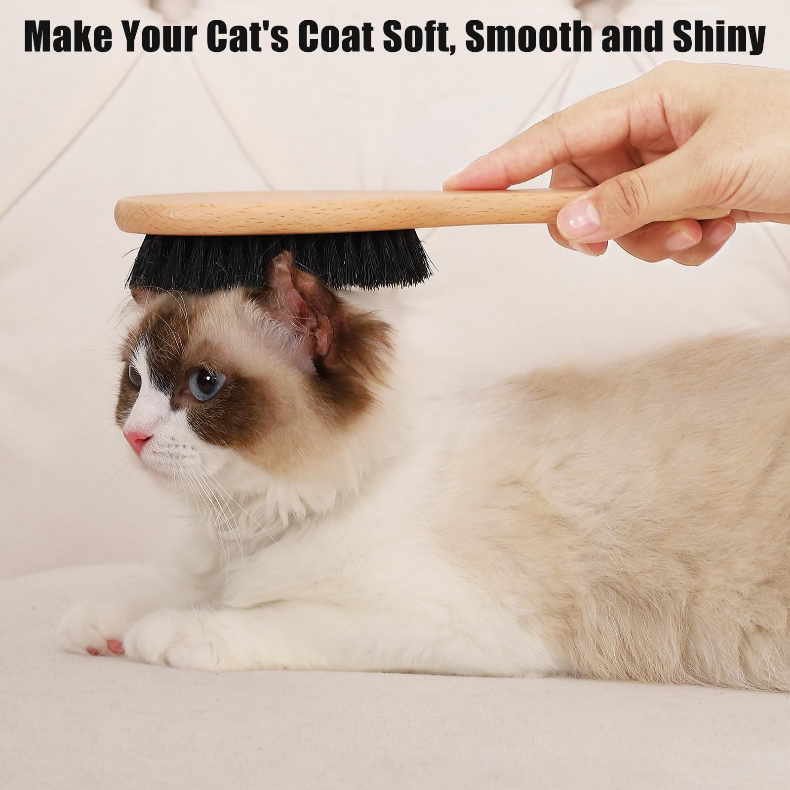 Boar Bristle Cat Brush with Wooden Handle, Soft and Gentle, Reduce Shedding, Make Coat Soft, Smooth and Shinny, Daily Grooming Tool for Short Haired Cats, Kitten - image 2