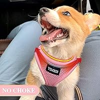Vista 2 de Yimeis - Juego de arnés y correa para perro, arnés de malla suave sin tirones, chaleco reflectante ajustable para cachorros, para perros pequeños
