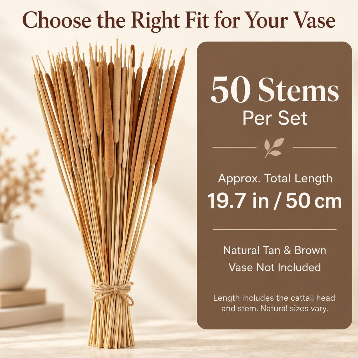 EVERBLOOM Botanica Co. | Natural Dried Cattails, 50 Brown Stems, 19.6 in | Real Cat Tails for Vases, Rustic Fall Centerpieces, Wedding & Boho Floral Arrangements