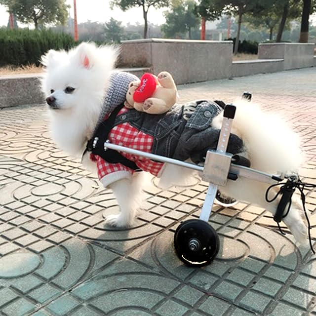 Foto 3 de 7 de Silla de ruedas ajustable para perros para patas traseras, rehabilitación, 2 ruedas
