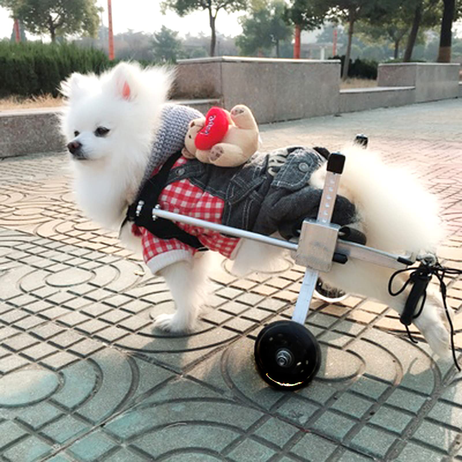 Silla de ruedas ajustable para perros para patas traseras, rehabilitación, 2 ruedas, silla de ruedas mediana para patas traseras de 24-34 cm, perros de 5 a 14 kg