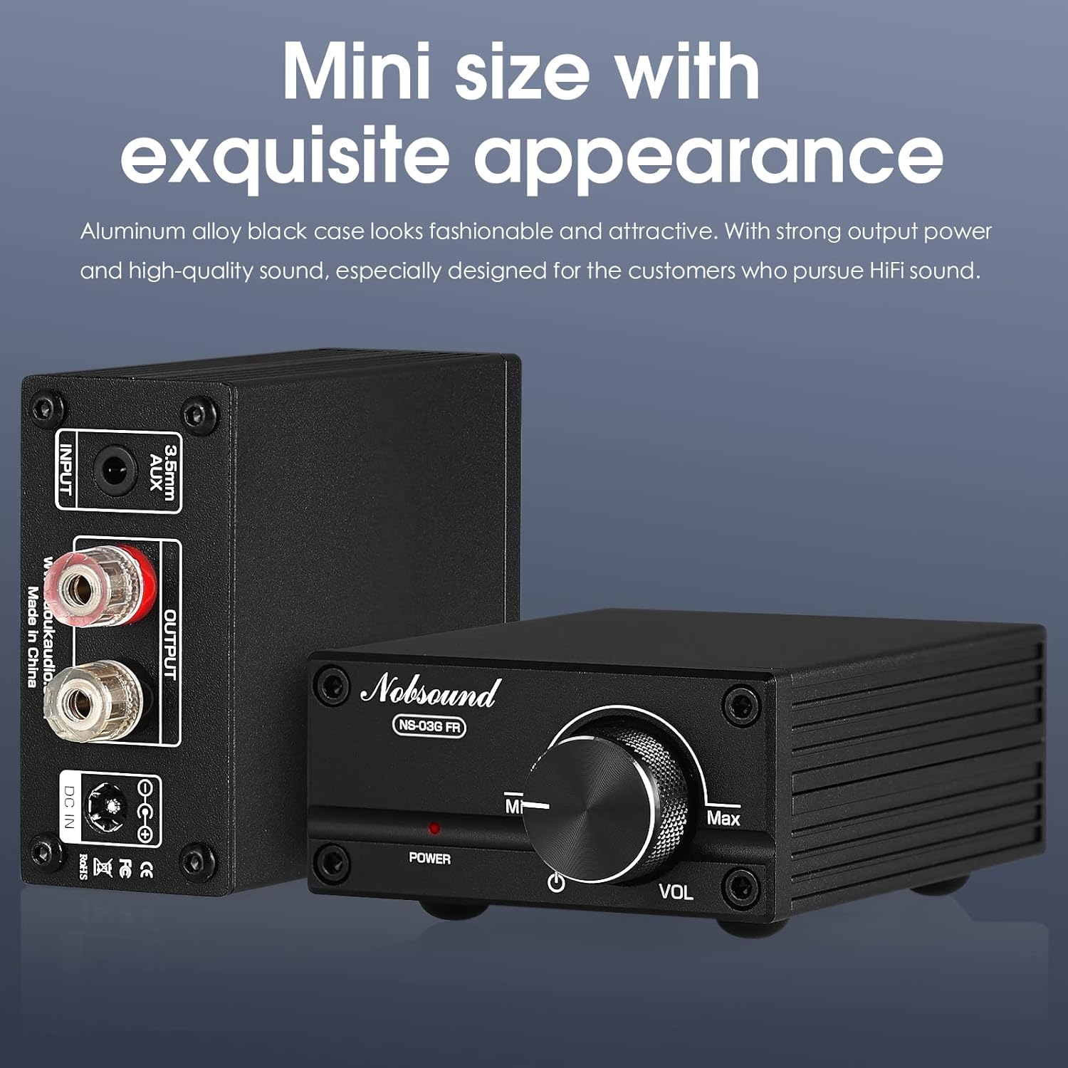 Nobsound 100W Full Frequency Mono Channel Digital Power Amplifier Audio Mini Amp Home Speaker with Power Supply (Black)