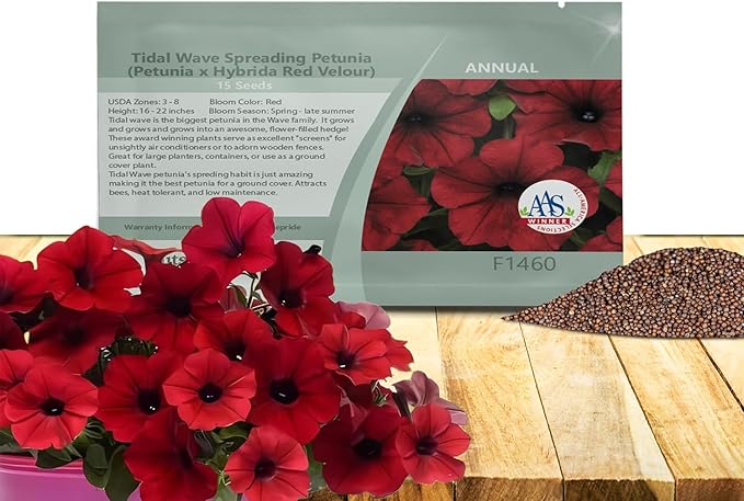 Amazon.com : Outsidepride Red Velour Tidal Wave Petunia Seeds - 15 Pcs ...