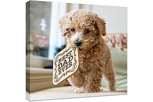 Customized Wall Décor with Your Personal Touch: Photo to Canvas Prints for a Meaningful Display