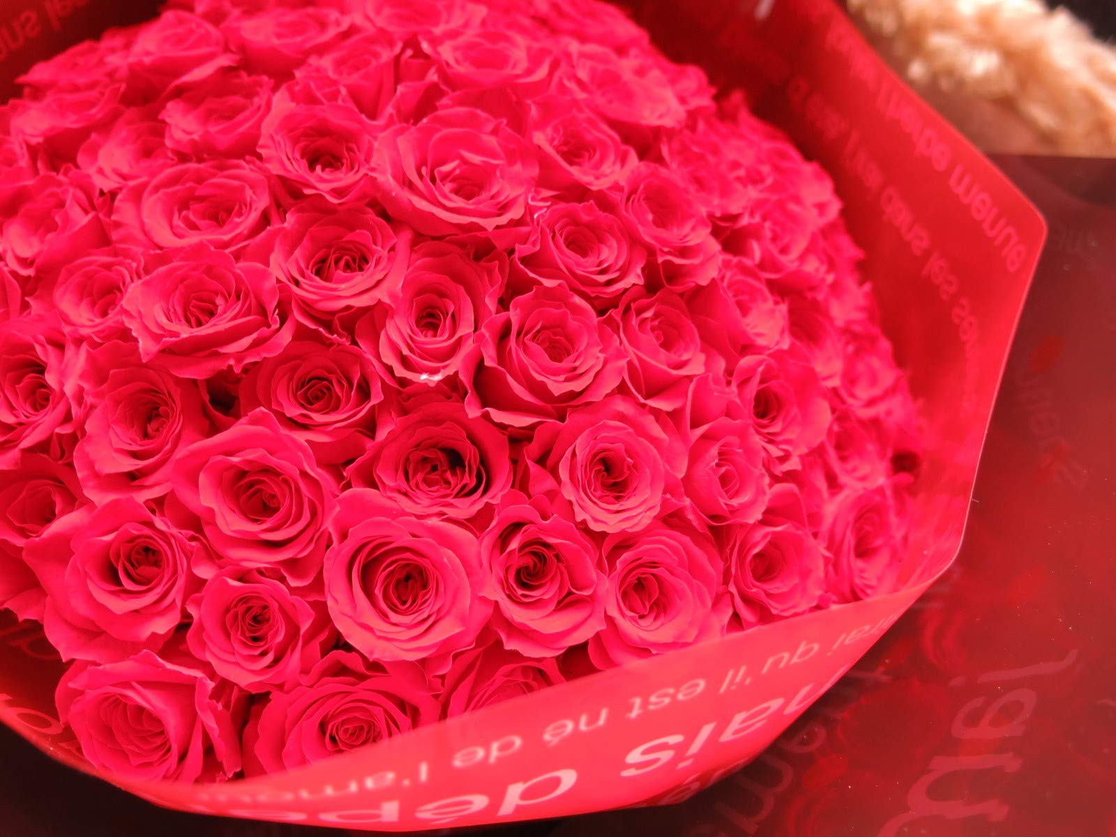 Amazon.co.jp: プリザーブドフラワー プロポーズ 赤バラ 108本 花束 赤