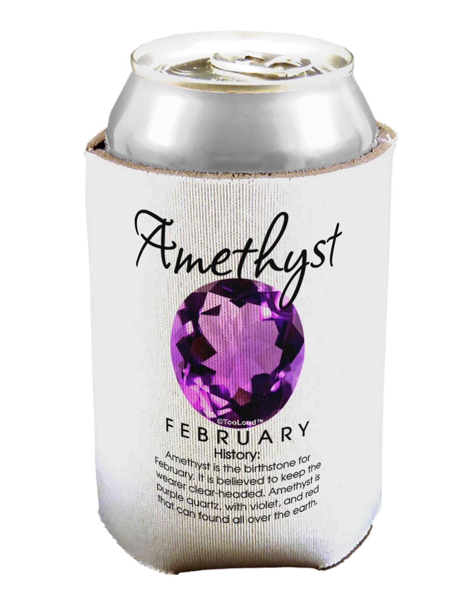 TOOLOUD Birthstone Amethyst Can/Bottle Insulator Cooler - 2 Pack