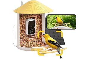 Netvue Birdfy AI Smart Bird Feeder Camera