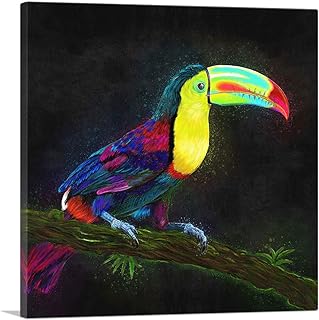 ARTCANVAS Keel Billed Toucan Latin American Belize Bird on Branch Canvas Art Print Stretched Framed Painting Picture Poster Giclee Wall Decor - 18" x 18" (0.75" Deep)