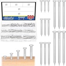 Glarks 300pcs 20/30/40/50/60 mm Brick Steel Nails Kit, White Zinc Carbon Steel Hardware Nails, Finishing Nails, Brad and Picture Hanging Nails, Wood Nails, Cement Nails for Drywall and Pine
