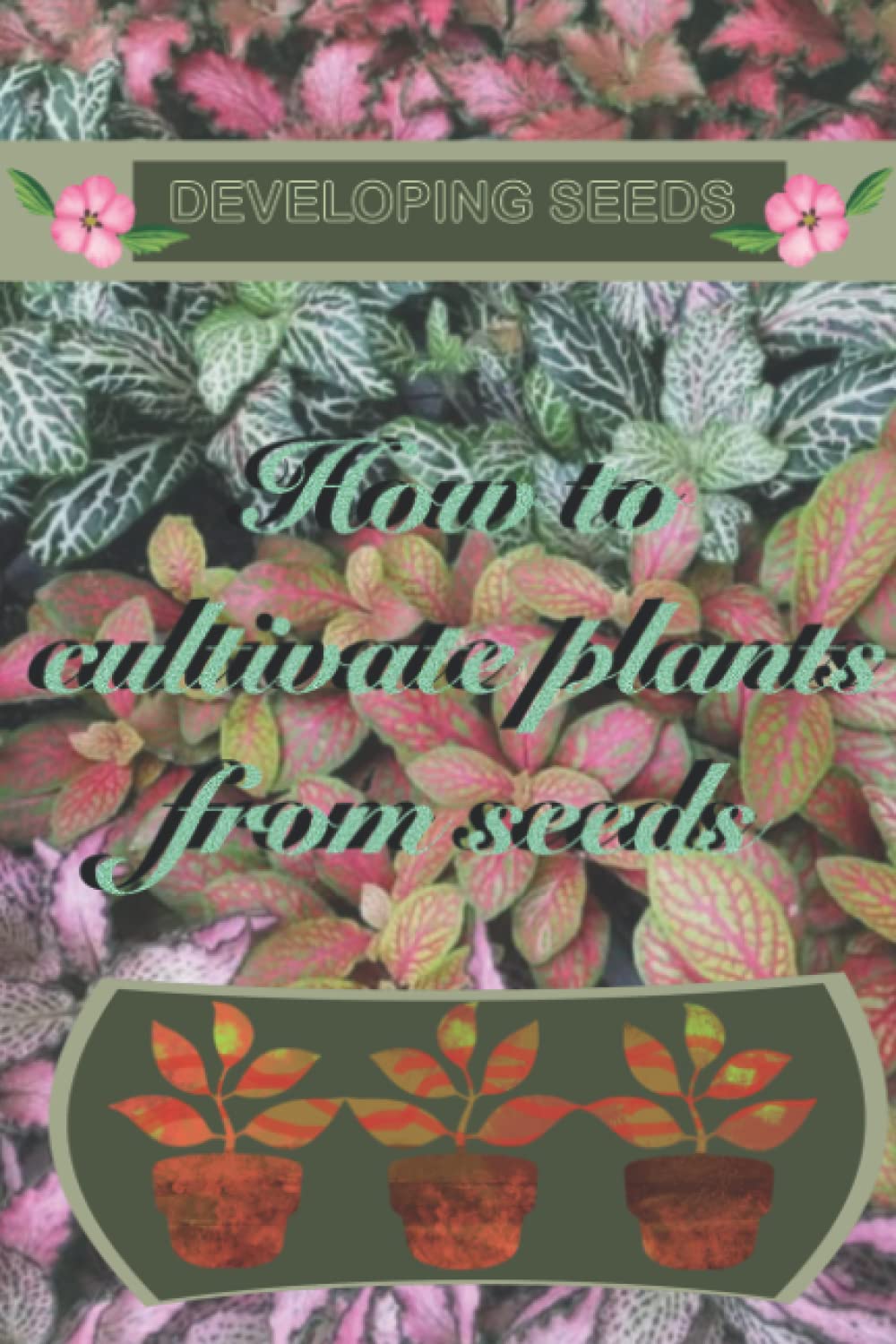 Developing Seeds: How to cultivate Plants from Seeds