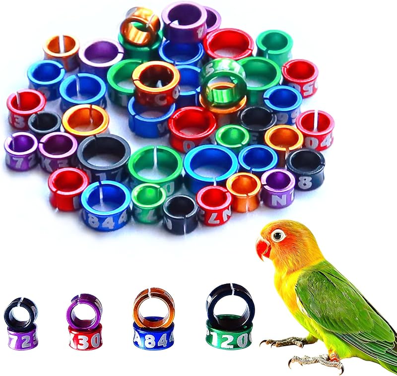60 bandas abiertas para patas de anillos de pájaros, anillos para patas de loros, anillos para patas de pájaros, anillos de reconocimiento de aleación de aluminio, etiquetas para pájaros para loros, peonías, palomas, hibiscos, codornices, pollos rutinarios (diámetro 4 mm)