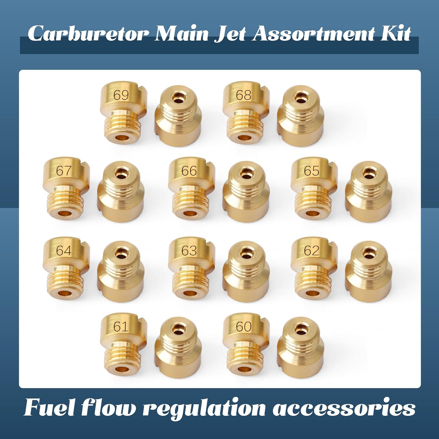 20Pcs 1/4"-32 Carburetor Main Jet Assortment Kit Compatible with Holley Carb, Aperture Size 60 61 62 63 64 65 66 67 68 69 2 Each Size