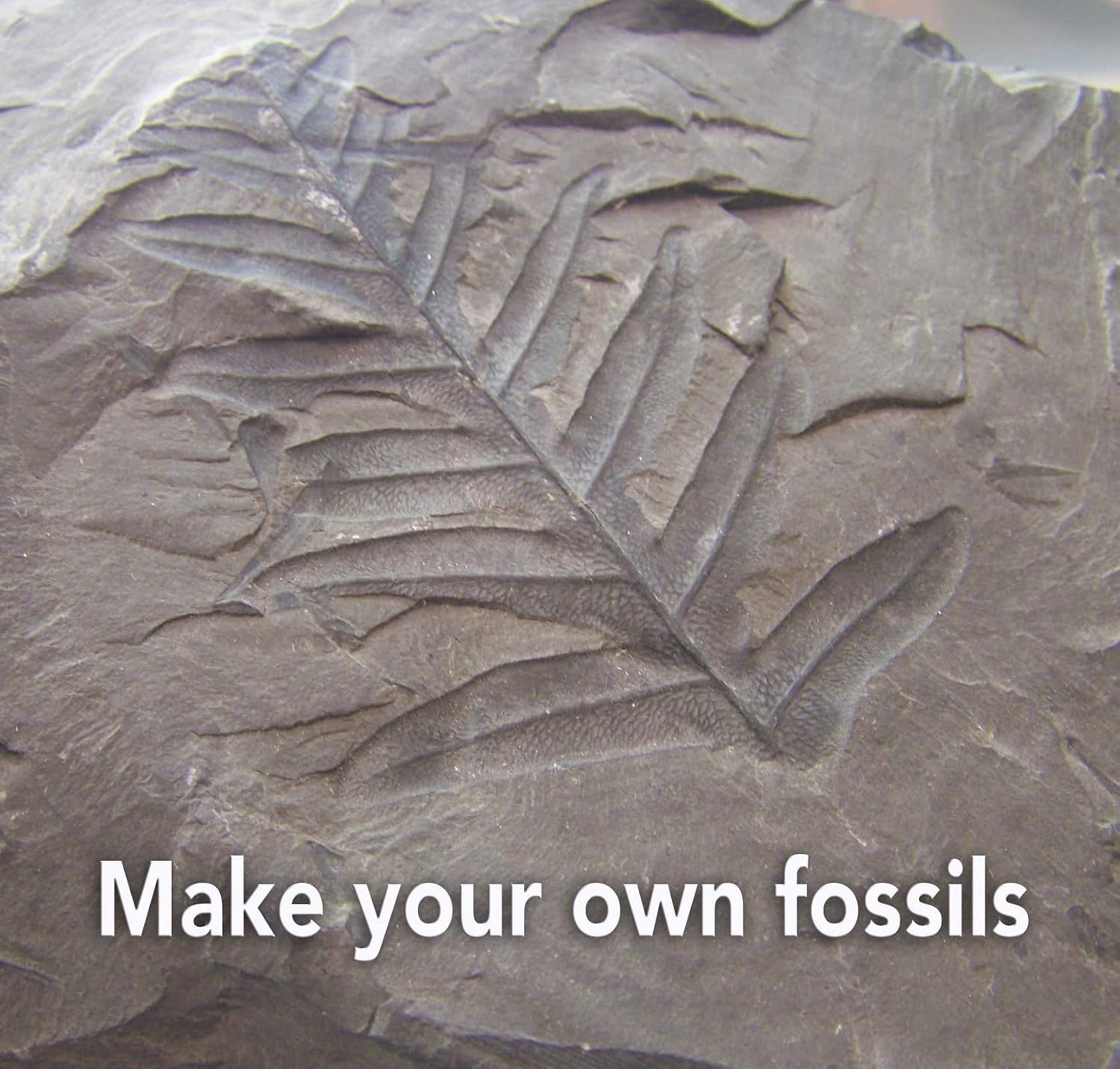 Rocks: and Geology (ScienceWiz Book-Kit)