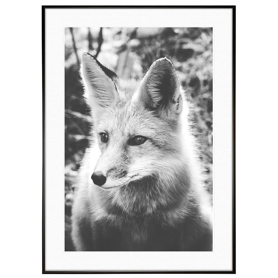 Amazon.co.jp: インテリアアート ポスター 動物写真 キツネ