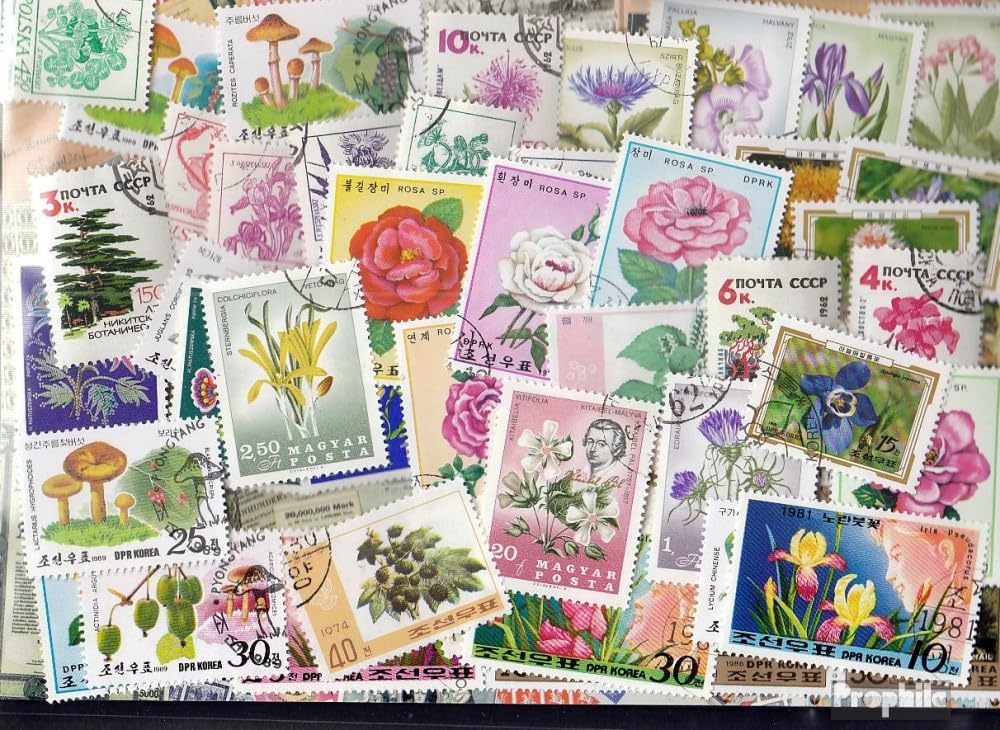Lot De 50 Timbres Oblitérés De Collection Différents, Type Champignons Descriptif La Pochette De Timbres En Photo Est Precisement Larticle Que Vous Allez Recevoir Lot De 50 Timbres Oblitérés De Collection Différents, Type Champignons Descriptif La Pochette De Timbres En Photo Est Precisement Larticle Que Vous Allez Recevoir