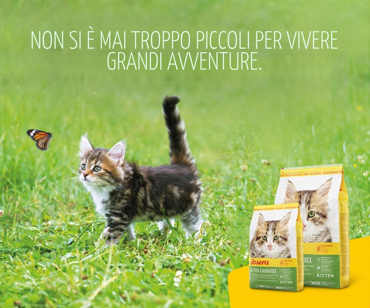 JOSERA Kitten Grainfree (1 x 10 kg), cibo per gatti senza cereali con olio di salmone, cibo secco super premium per gatti in crescita, confezione da 1