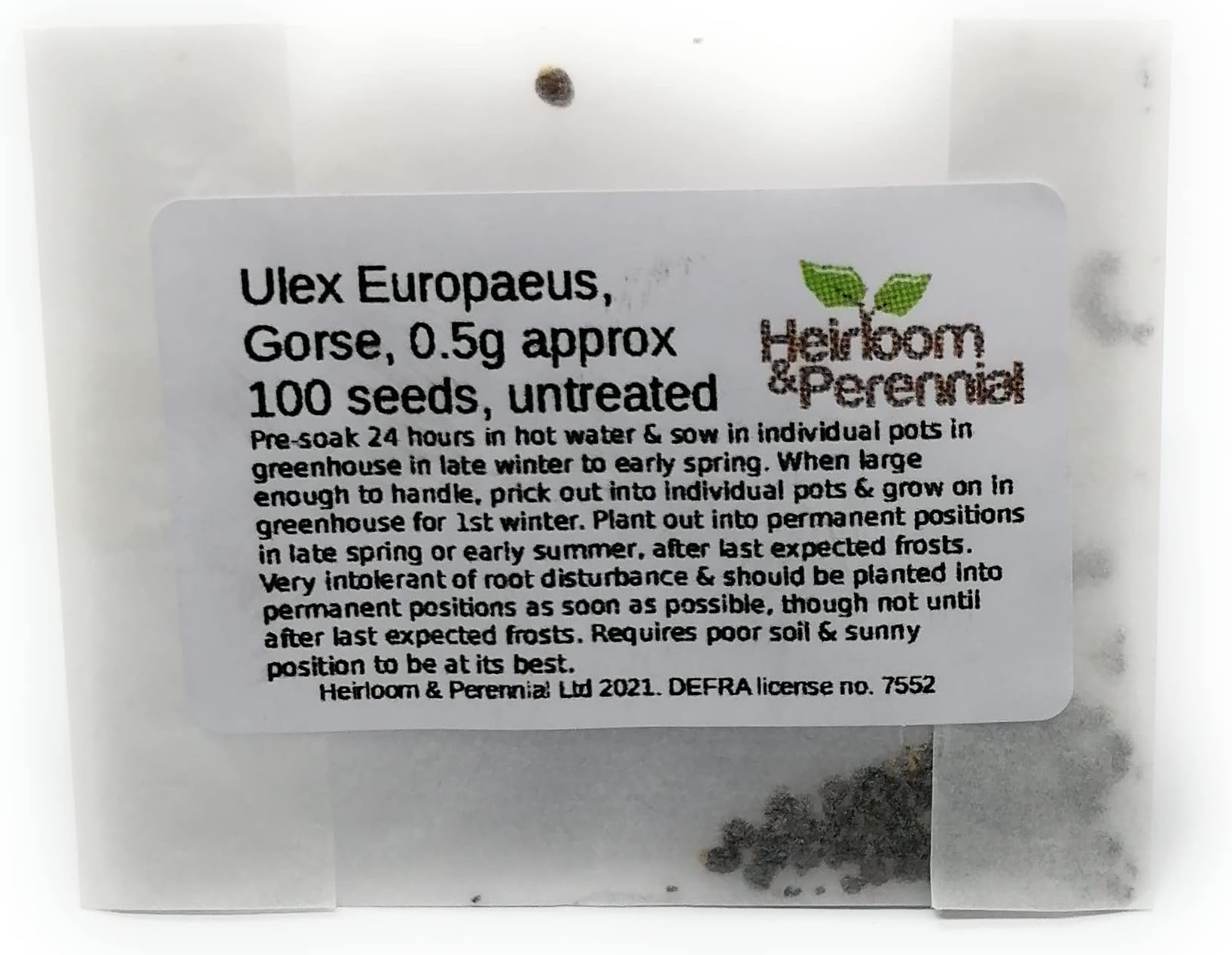 Ulex Europaeus, Gorse, 0.5g Approx 100 Seeds, nitrogen Fixing Pioneer, Edible Flowers