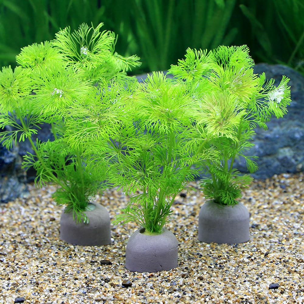 Urania 動物・植物百科事典 全8巻セット Urania 動物・植物百科事典 全8巻セット