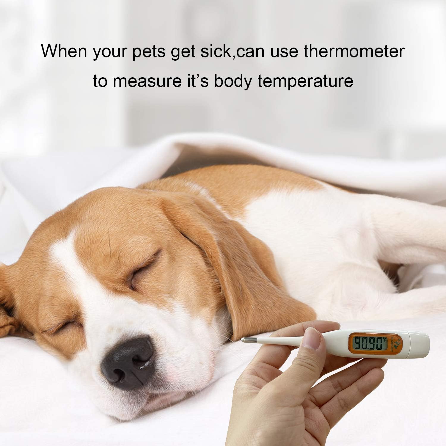 Erste-Hilfe-Set für Haustiere für Hunde, Katzen, Kaninchen und andere Tiere, mit Thermometer, Spritze, Otoskop, perfekt für die Pflege zu Hause und Notfälle auf Reisen im Freien