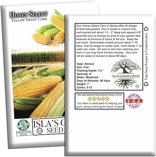 Miniatura 7 de Honey Select - Semillas de maíz dulces amarillas para plantar, más de 50 semillas de reliquia por paquete, semillas de jardín de Isla (semillas de