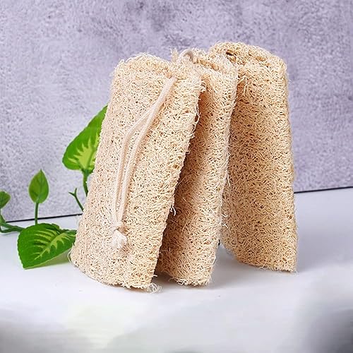 Greener Clean - Paño limpio para lavar platos y limpiar la cocina, 3 toallas de esponja de calabaza (3 esponjas de lufa)