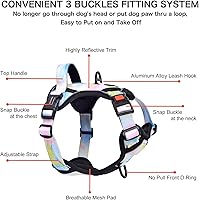 Vista 48 de Petmolico - Juego de arnés para perro sin tirones, 2 correas de sujeción con asa de fácil control, chaleco reflectante para razas pequeñas, arnés