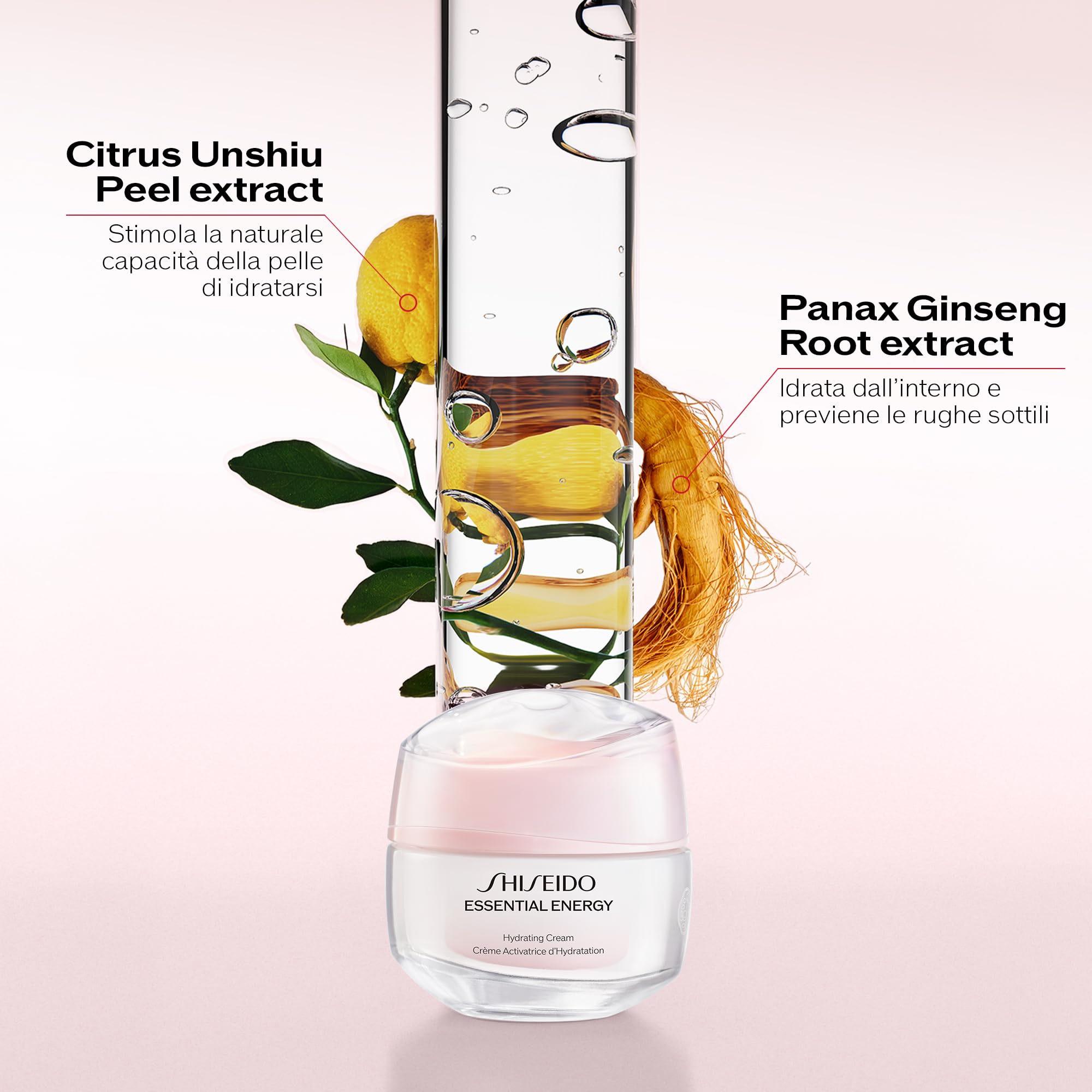 Shiseido | Essential Energy | Crema Viso Idratante Antirughe e Illuminante | Con Acido Ialuronico RED Attivo ed Estratto di Radice di Panax Ginseng | Crema Idratante Soffice e Leggera