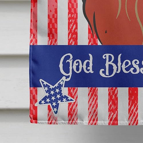 Vista 437 de Caroline's Treasures BB2171GF American Flag and Border Collie Garden Flag Mailbox Flag Decorative Yard Flag Banner Outside Patio Artwork Yard Flower