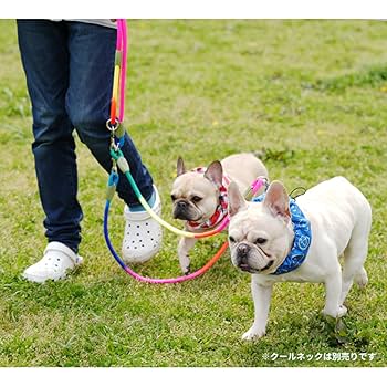 Amazon | 犬 ショルダーダブルリード ダブルショルダーリード 二