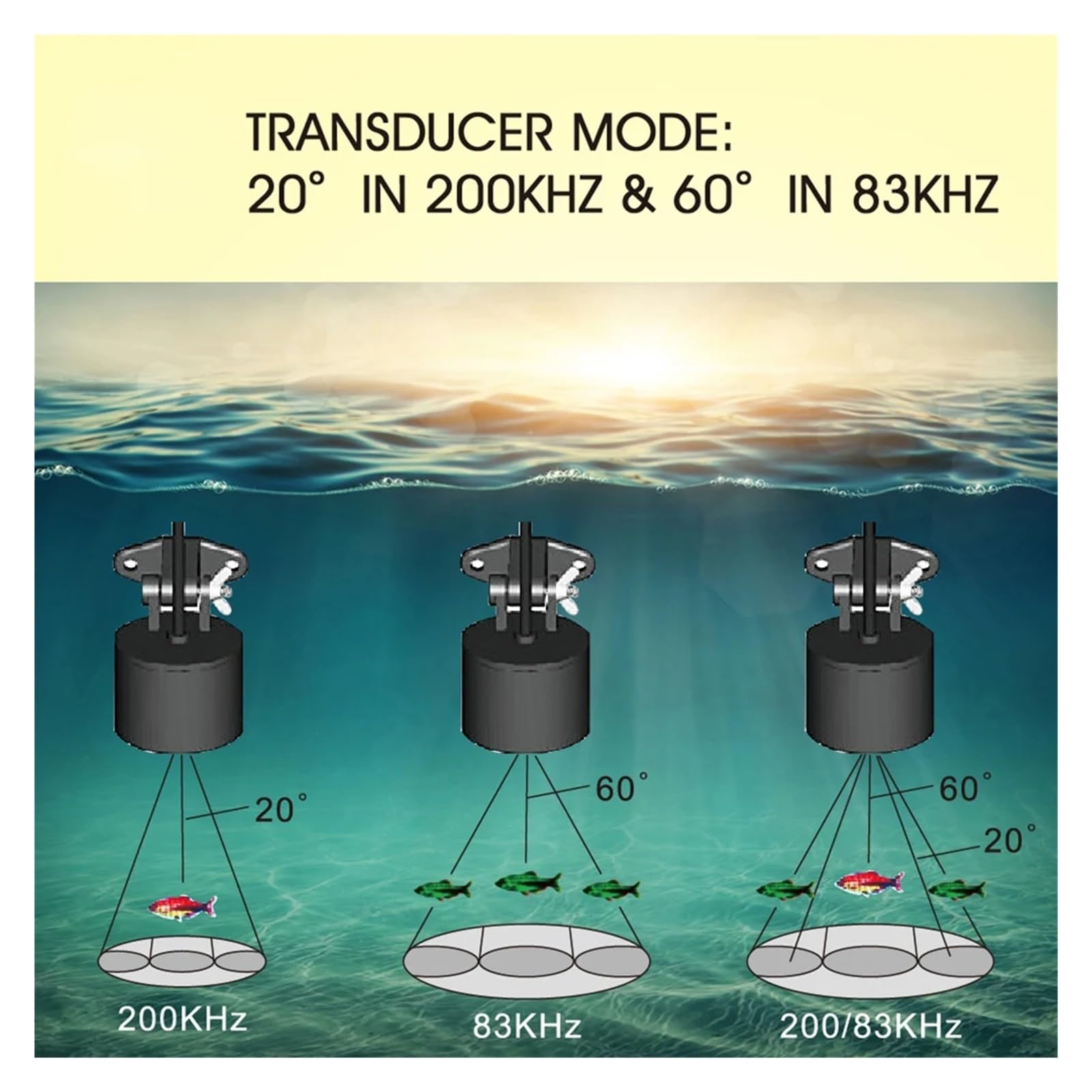Buscador de Peces portátil de 100 m/300 pies de Profundidad, Alarma de Peces con Cable, Detector de Peces, ecosonda inalámbrica