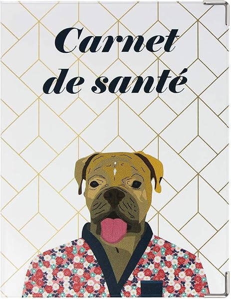 Color Pop® Small Animal Health Record Case - Made in France - Notebook 18.5 x 13.5 cm (Jean) - PVC (Cat Star) - 5