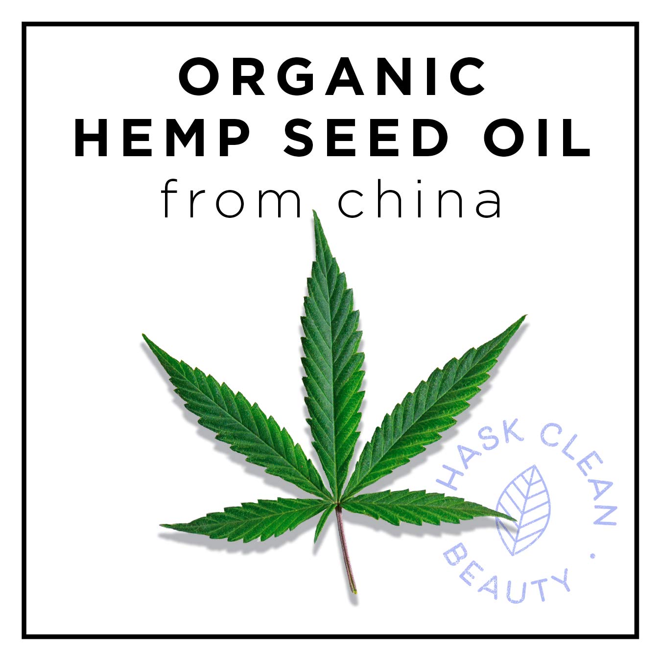 HASK HEMP OIL 5-in-1 Leave In Conditioner Spray for all hair, color safe, gluten free, sulfate free, paraben free - HEMP OIL 2 PIECE SET : Beauty & Personal Care