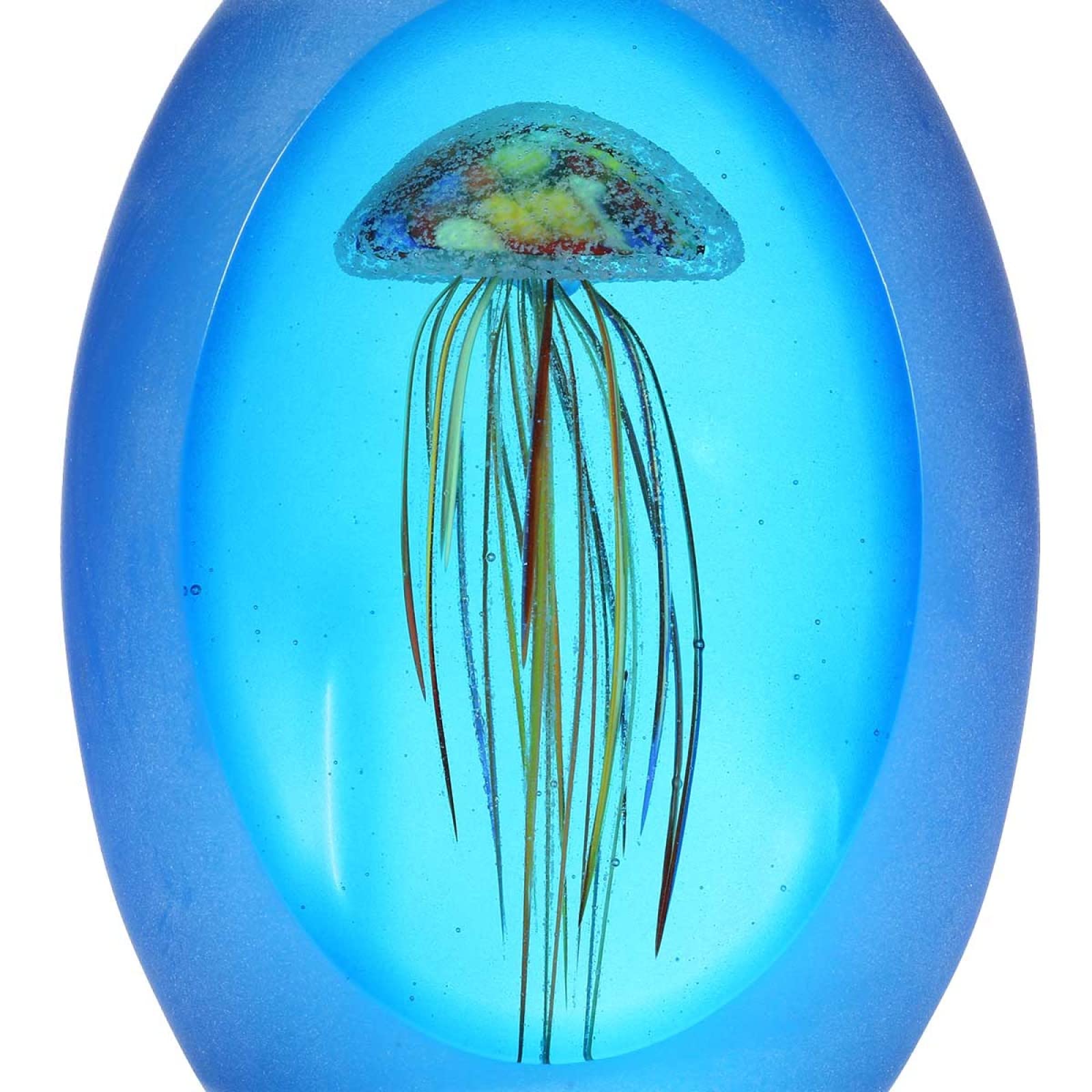 Jellyfish Blown Glass Art Boise Art Glass Jellyfish Sculpture