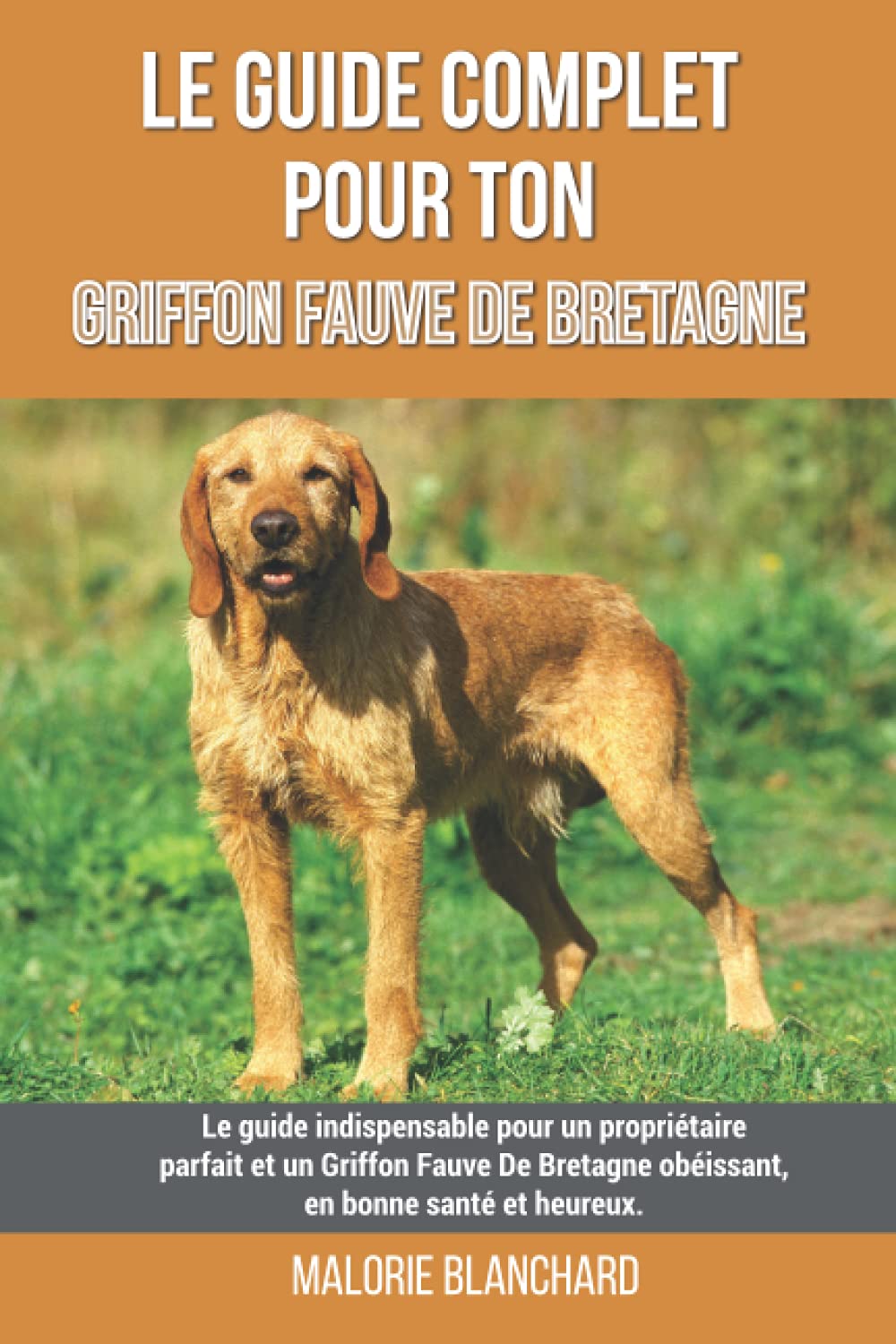 Le guide complet pour ton Griffon Fauve De Bretagne: Le guide indispensable pour un propriétaire parfait et un Griffon Fauve De Bretagne obéissant, en bonne santé et heureux.