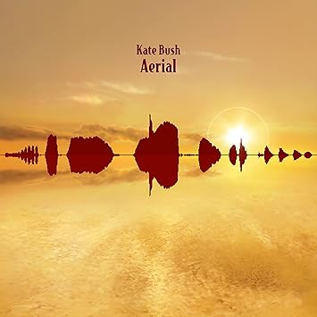 Aerial (2018)