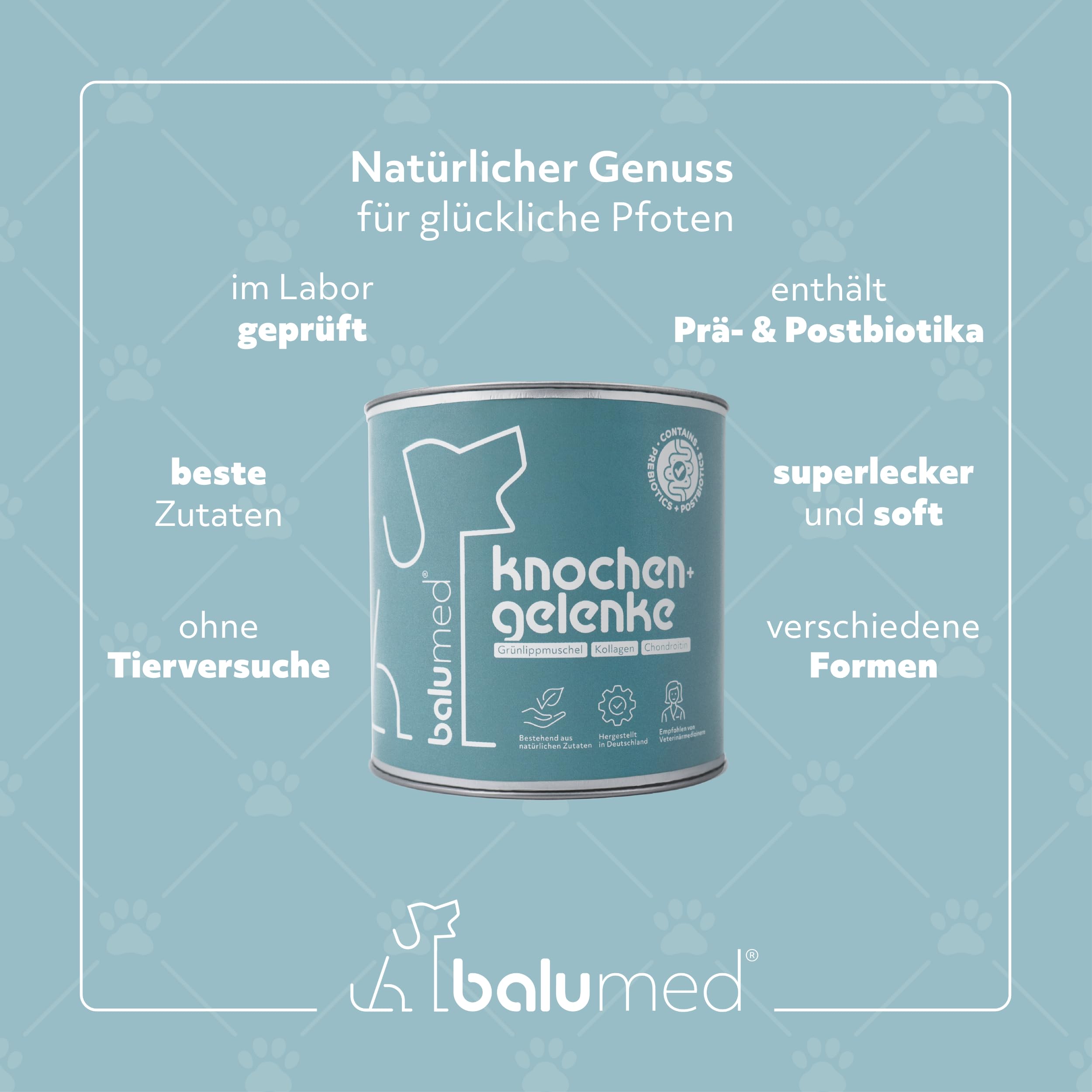 Snacks Knochen+Gelenke hochkonzentriert mit Grünlippmuschel für Hund, Leckerli mit Präbiotika, Postbiotika, Bierhefe, Teufelskralle, Chondroitin & Kollagen, Vitamine E + B, 325 g