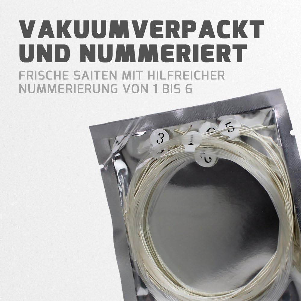 Vue 5