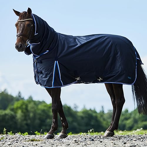 HORZE Glasgow Light Weight Waterproof Combo Turnout Sheet with Neck Cover (No Fill) - Dark Blue - 78 in(Dark Blue,78 in)