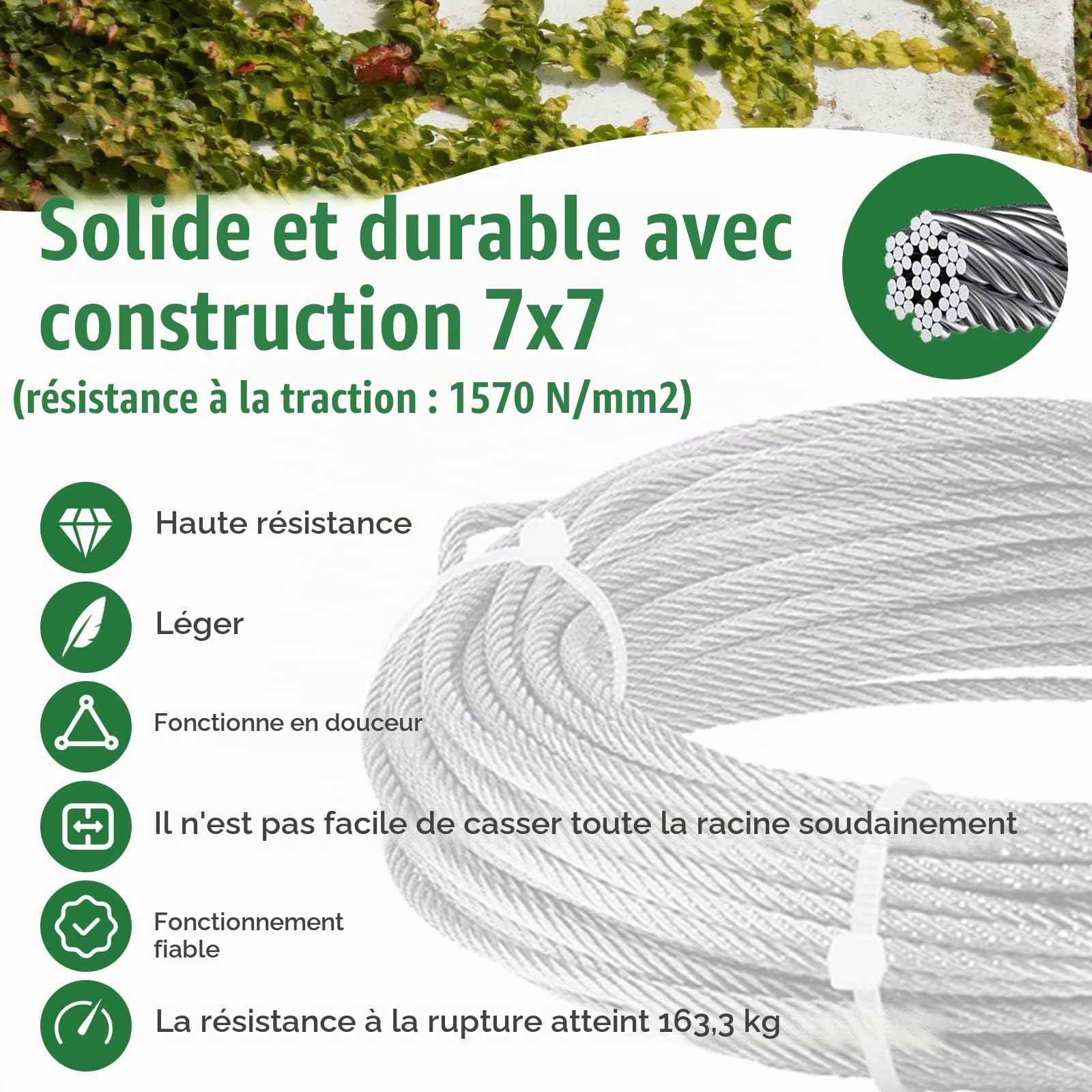 Support Treillis pour Plantes Grimpantes Kit Complet en Acier Inoxydable avec 8 Supports, 12M De Corde pour Rosier Les Jardins Extérieurs