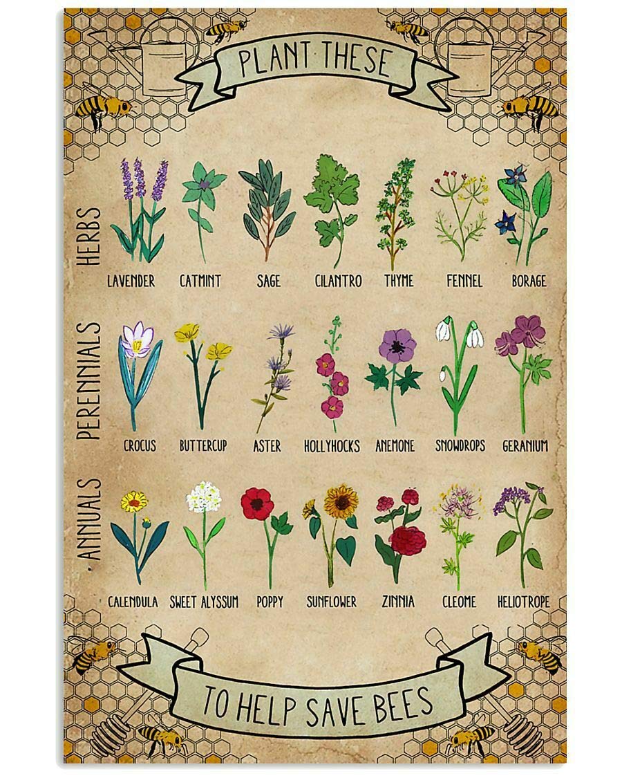 HOUVSSEN Save The Bee by Planting Flower Poster Knowledge for Gardening Chart Metal Tin Sign School Signs 8x12 Inch, 8x12inch