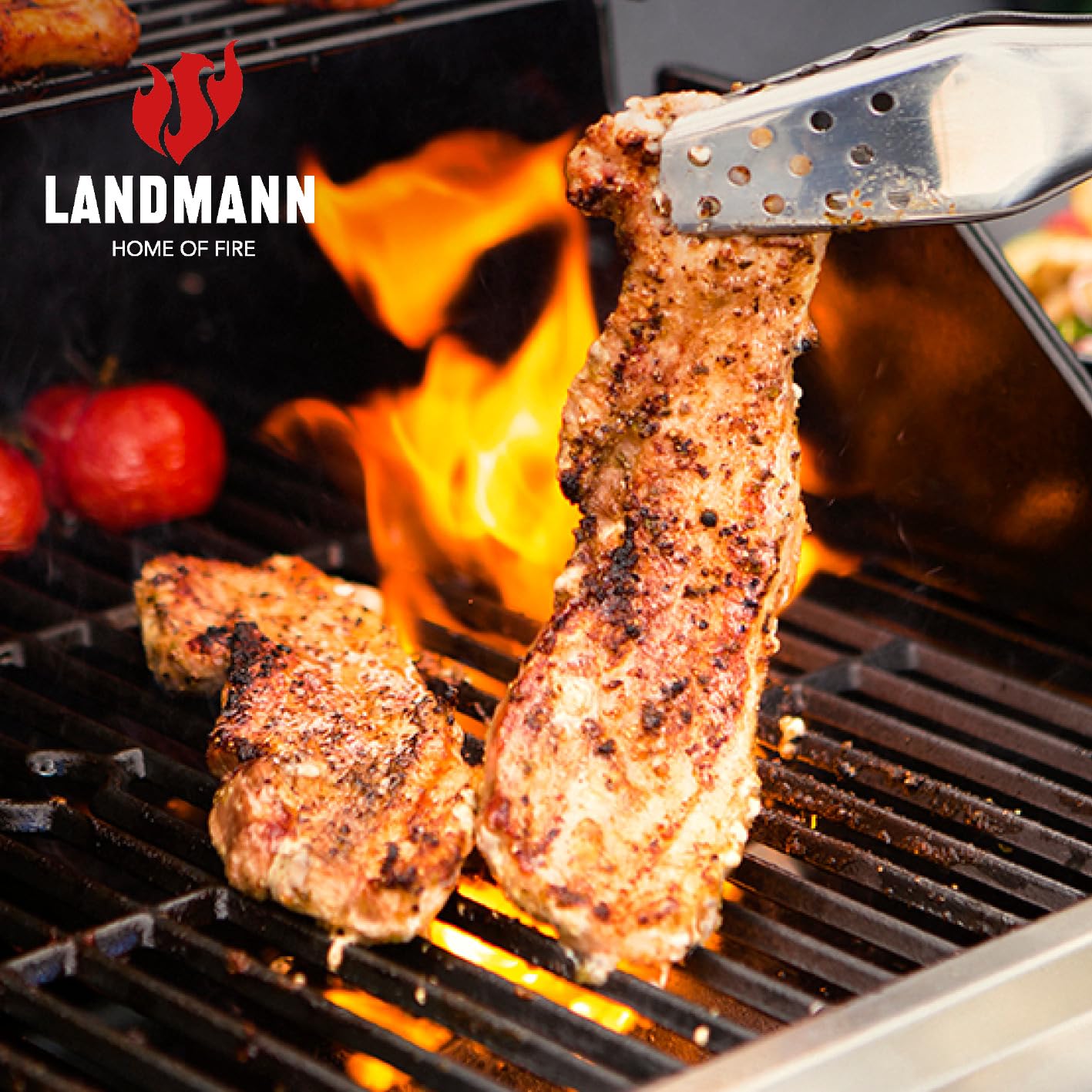 Landmann Rexon PTS 3.1 grill gazowy | 3 bezstopniowo regulowane palniki ze stali nierdzewnej, wbudowany palnik boczny | pokrywa z podwójnymi ściankami z wbudowanym termometrem, emaliowane ruszty