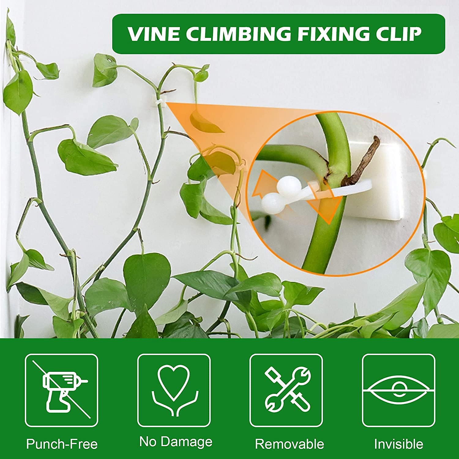 Wall Vines Fixture Wall Sticky Self-Adhesive Hook | Indoor Cable Tie Clip (90) — Amazon image 2