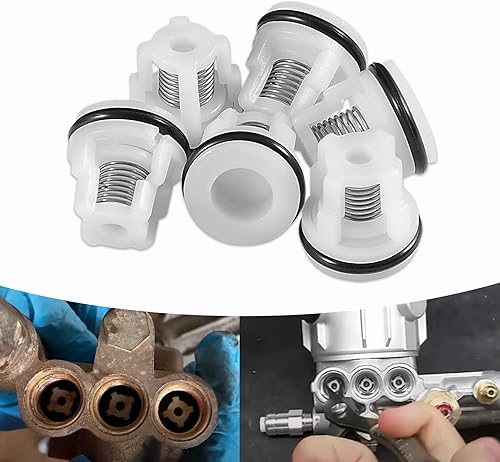 Kit de válvula de retenciónAR2233 Kit de válvula de repuesto para lavadora a presión AR Annovi Reverberi RMW y Rmv, repuesto para Mi-T-M 70-0409,