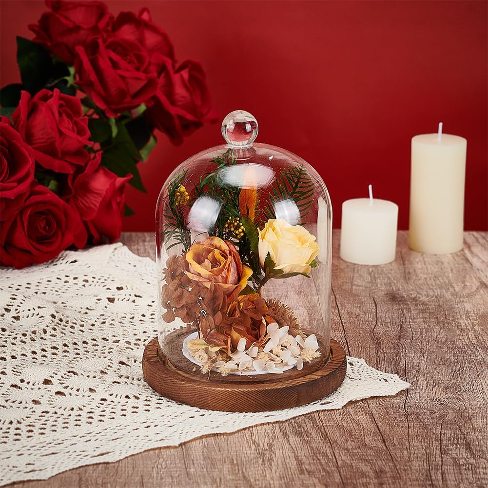 BENECREAT 5.6x7.3 Inch Glass Dome Cloche with Wooden Base, Saddle Brown