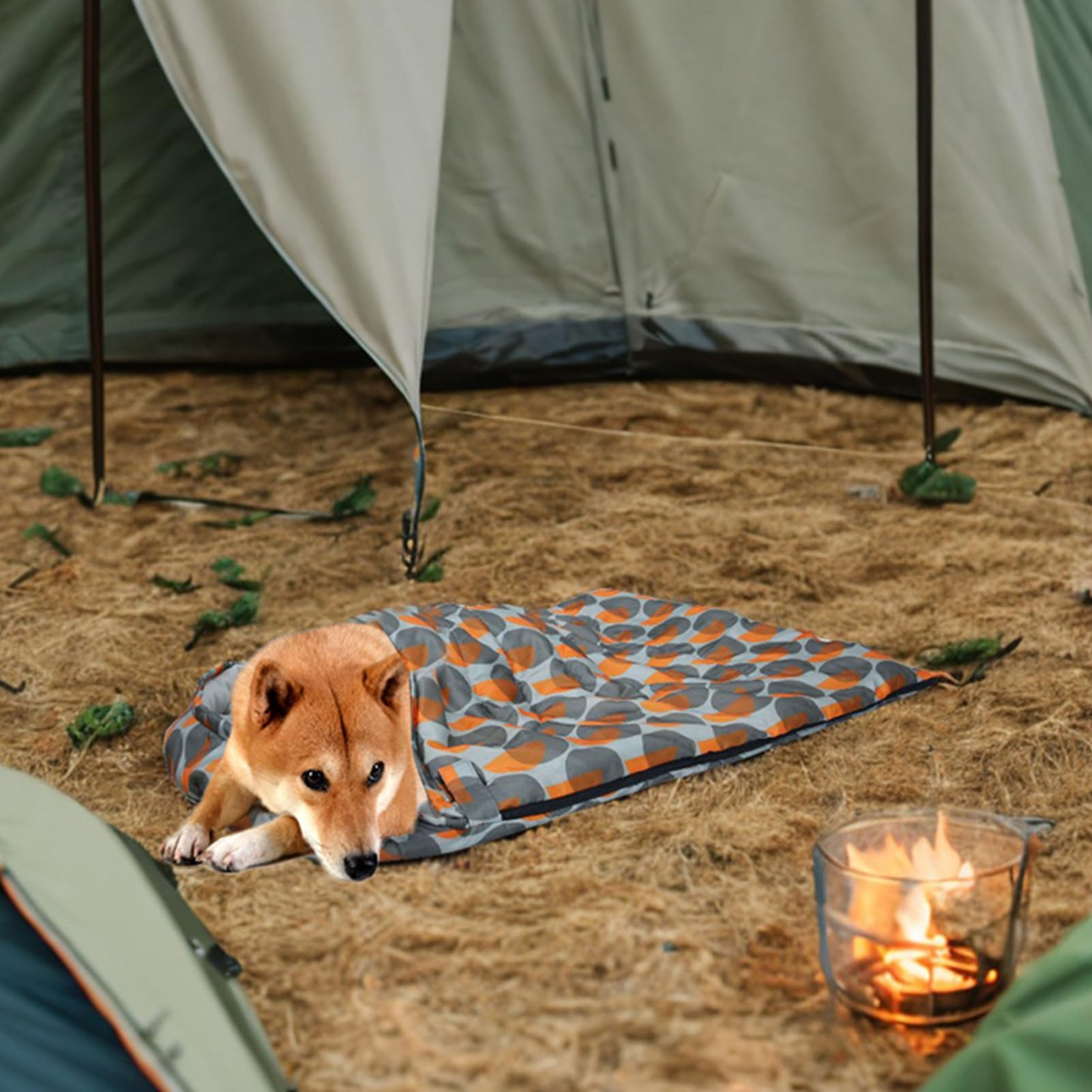 Générique Przytulny podgrzewany śpiwór dla | Legowisko dla szczeniąt do użytku wewnątrz i na zewnątrz Camping piesze wycieczki dla szczeniaka psa i kota