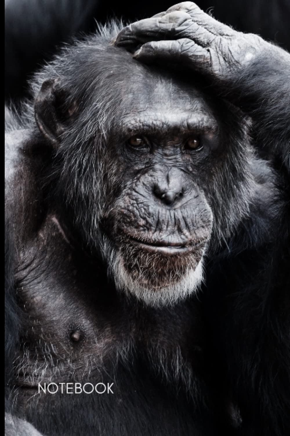 Chimpanzee Notebook: A Great Gift for Great Ape and Rainforest Animal Lovers